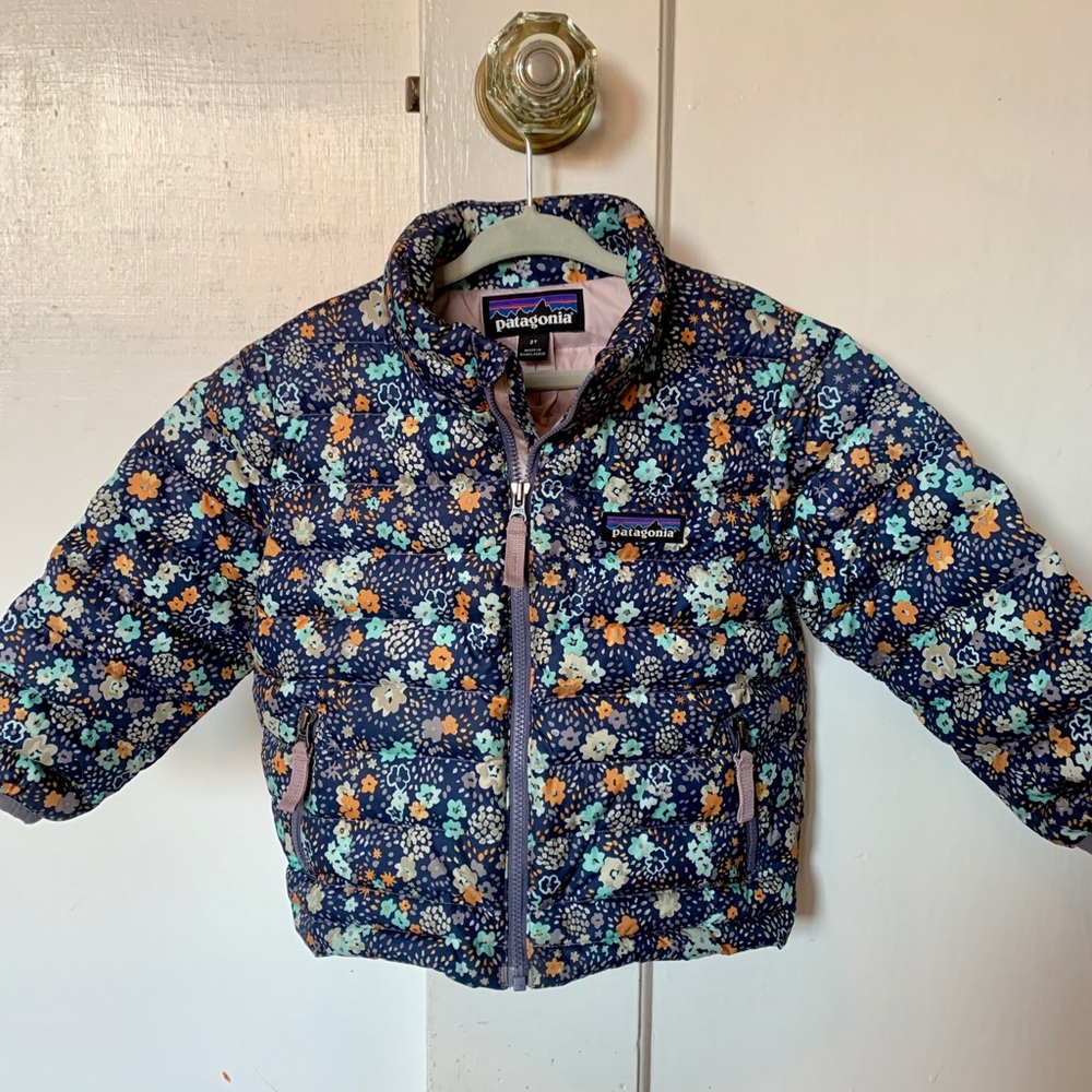 Patagonia 2T Toddler Girl Down Sweater